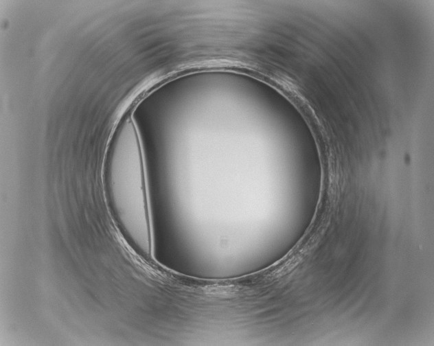 X0000056371181200508260913