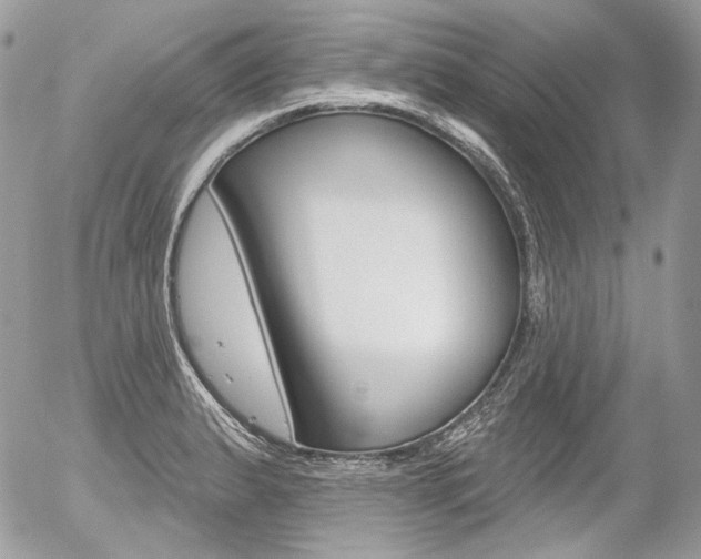 X0000056371183200508260913