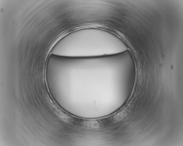 X0000056371186200508260913