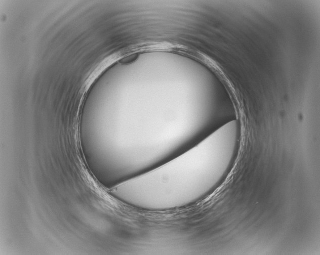 X0000056371194200508260912