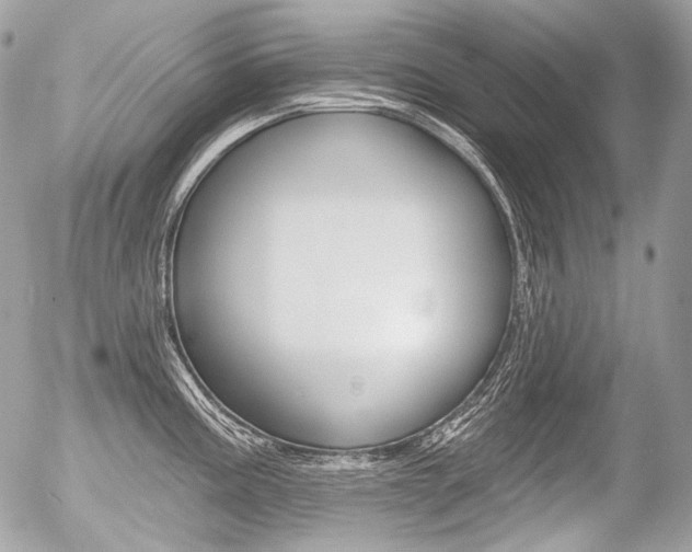 X0000056371195200508260912