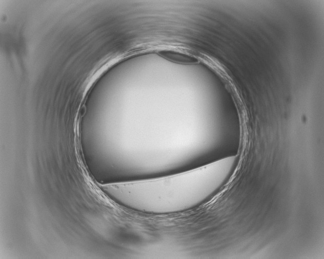 X0000056371198200508260912
