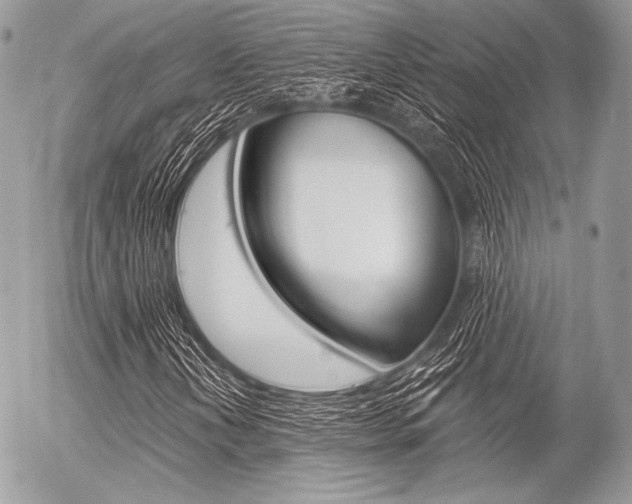 X0000056371202200508260912