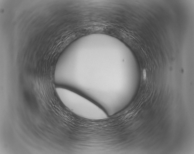 X0000056371203200508260912