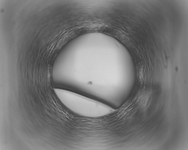 X0000056371204200508260912
