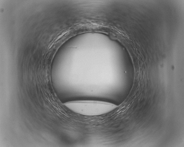 X0000056371205200508260912