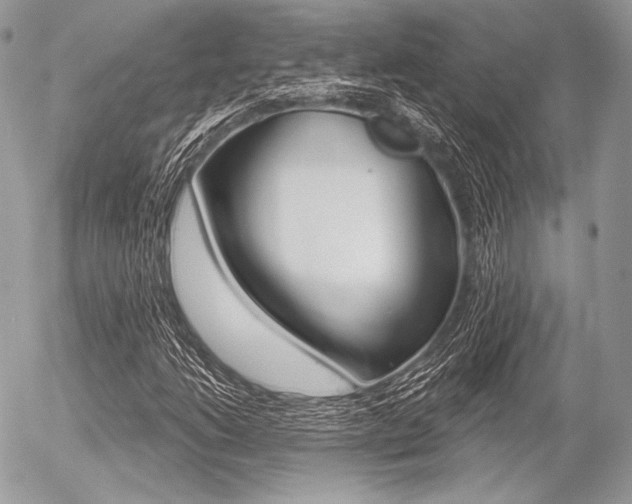 X0000056371206200508260912
