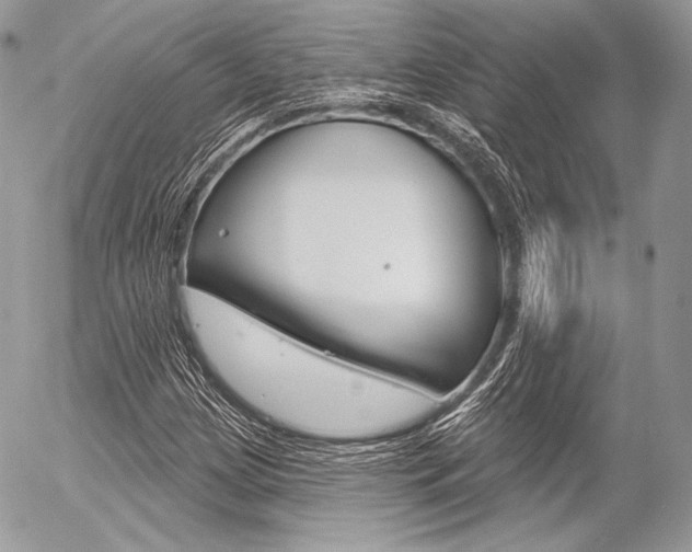 X0000056371209200508260912