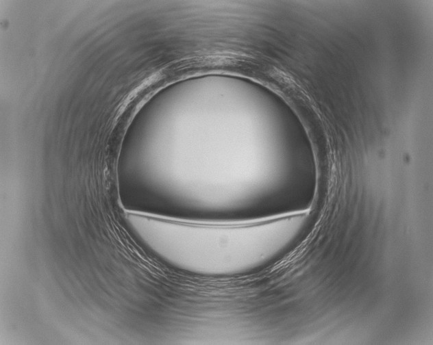 X0000056371210200508260912