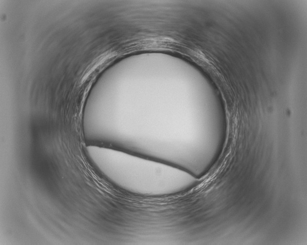 X0000056371211200508260912