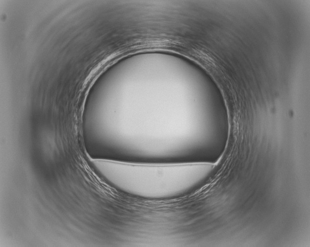 X0000056371212200508260912