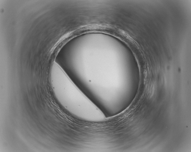 X0000056371213200508260912