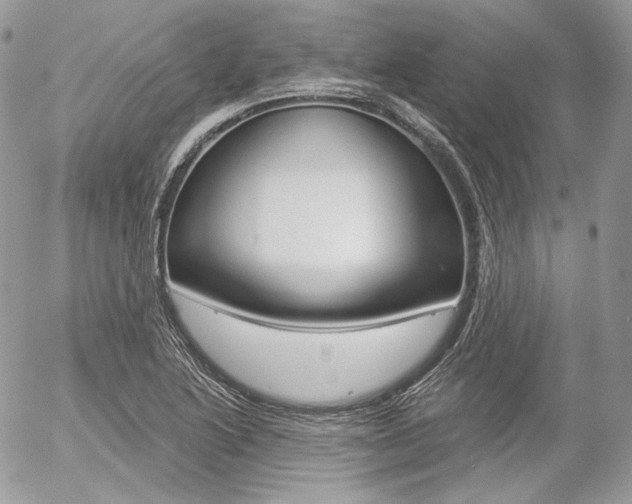 X0000056371222200508260912
