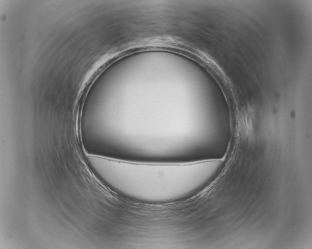 X0000056371224200508260912