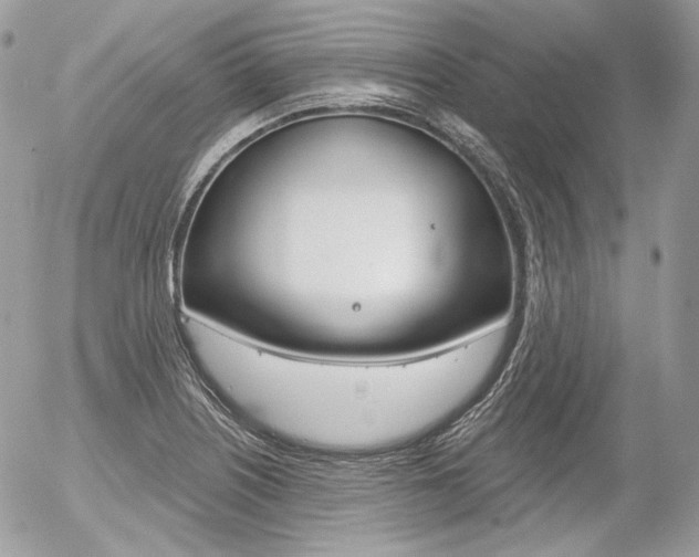 X0000056371226200508260912