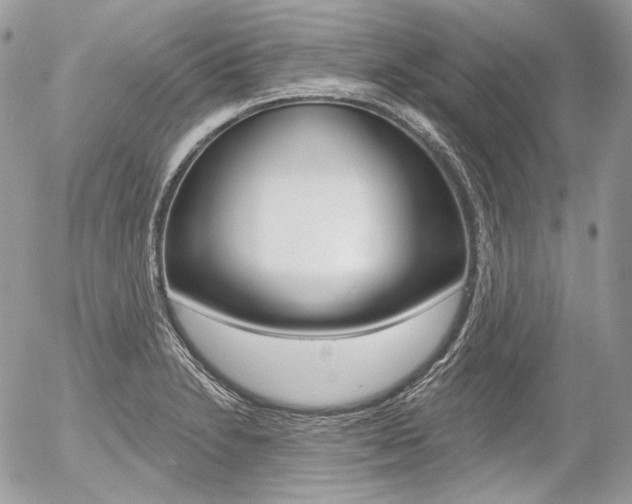 X0000056371230200508260912