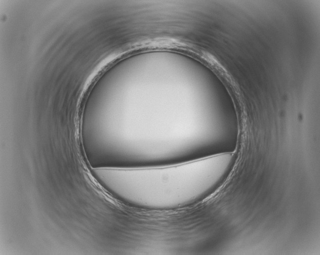 X0000056371232200508260912