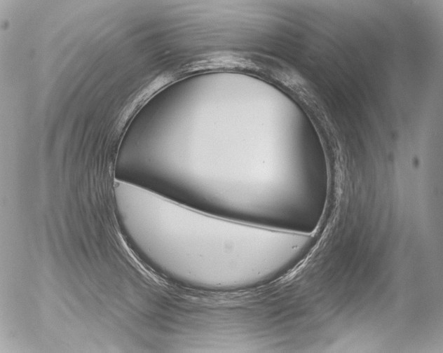 X0000056371233200508260912