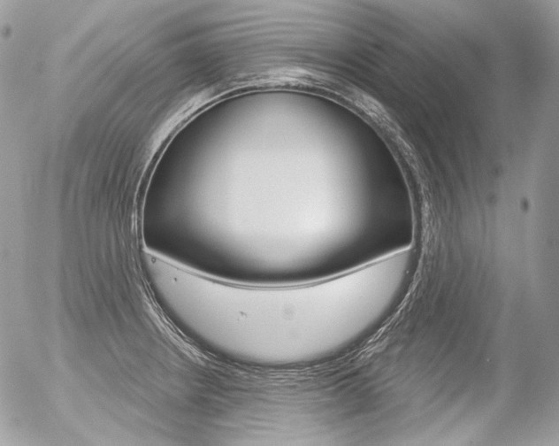 X0000056371234200508260912