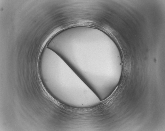 X0000056371235200508260912