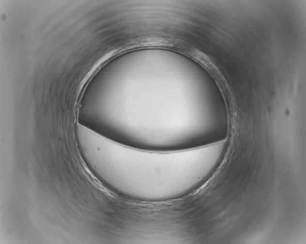 X0000056371236200508260912