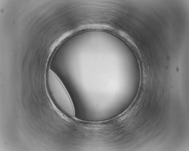 X0000056371237200508260912