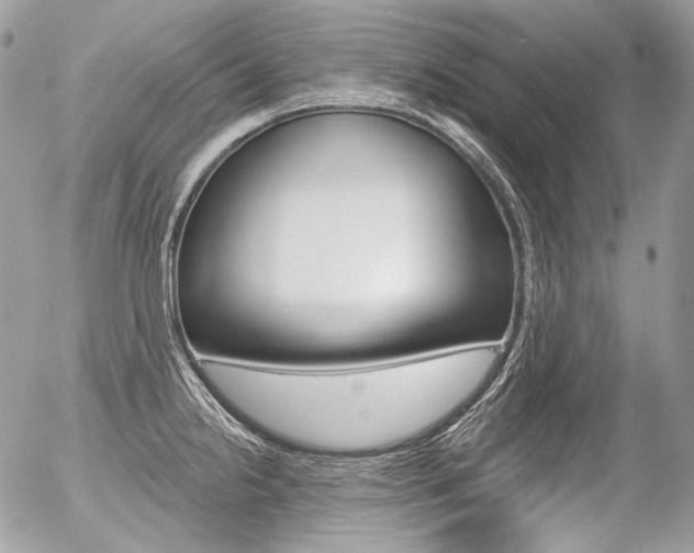 X0000056371238200508260912