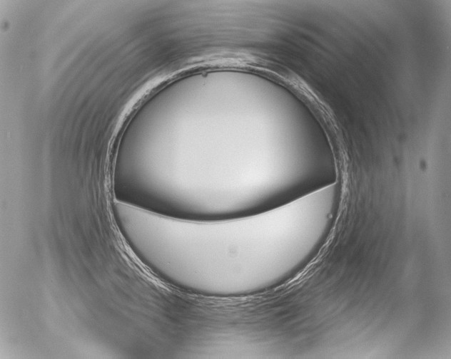 X0000056371240200508260912