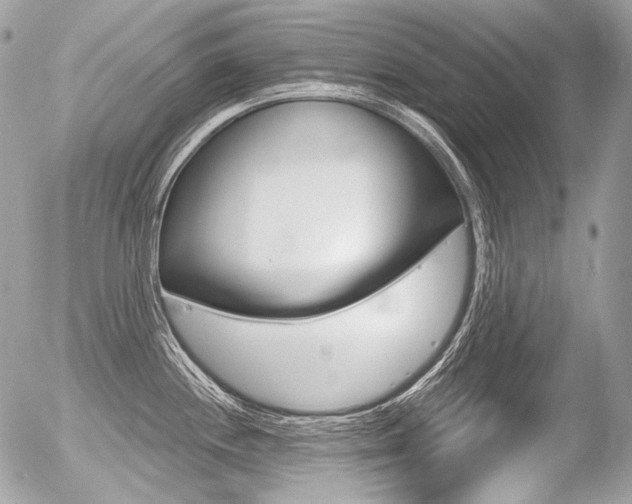 X0000056371244200508260912