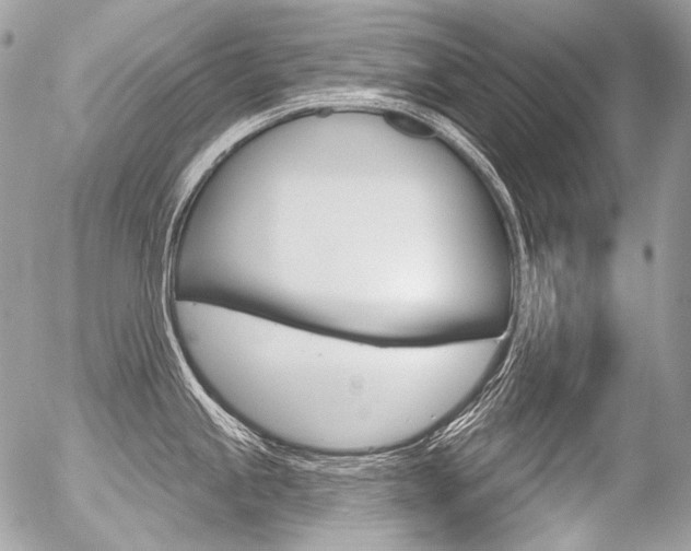 X0000056371245200508260912
