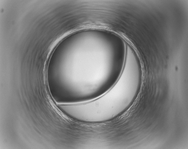 X0000056371246200508260912