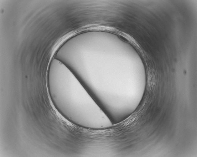 X0000056371247200508260912