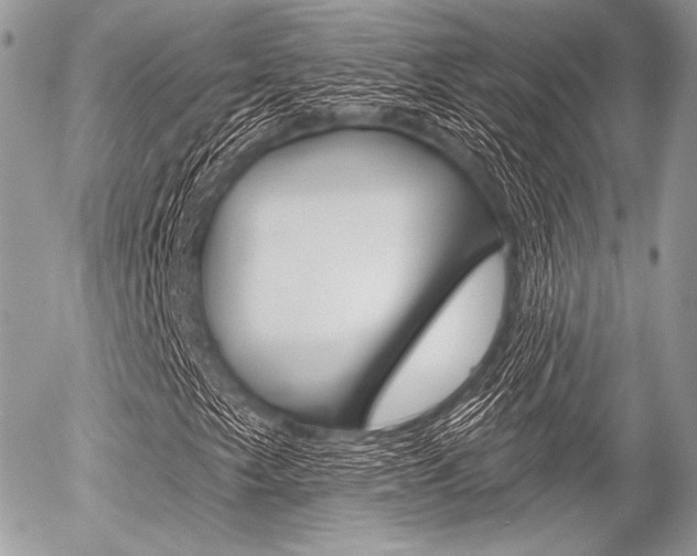 X0000056371249200508260912