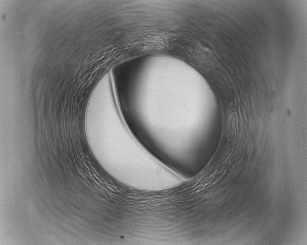 X0000056371250200508260911