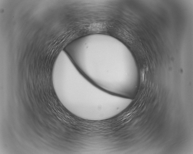 X0000056371251200508260911