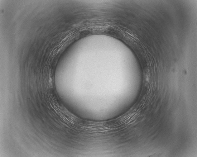 X0000056371252200508260911
