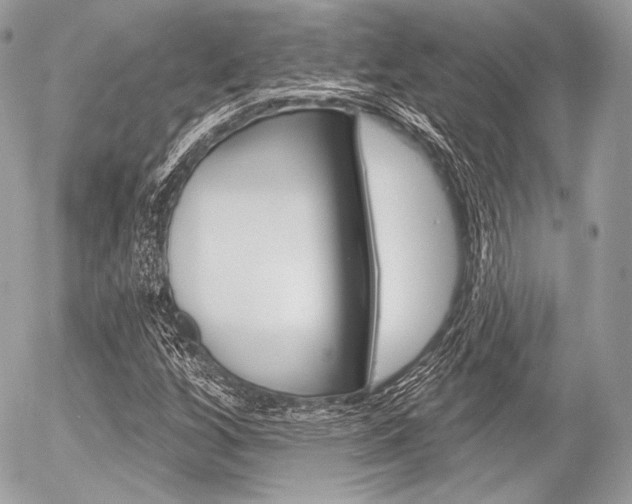 X0000056371256200508260911