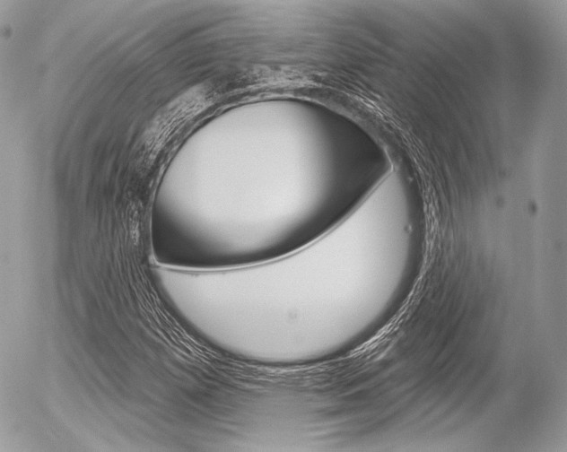X0000056371257200508260911