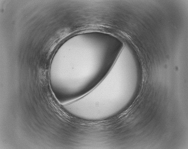X0000056371260200508260911