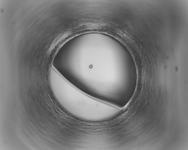 X0000056371261200508260911