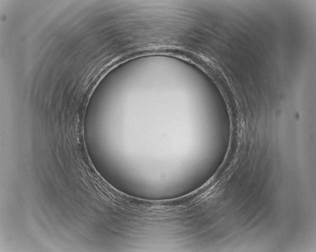 X0000056371265200508260911
