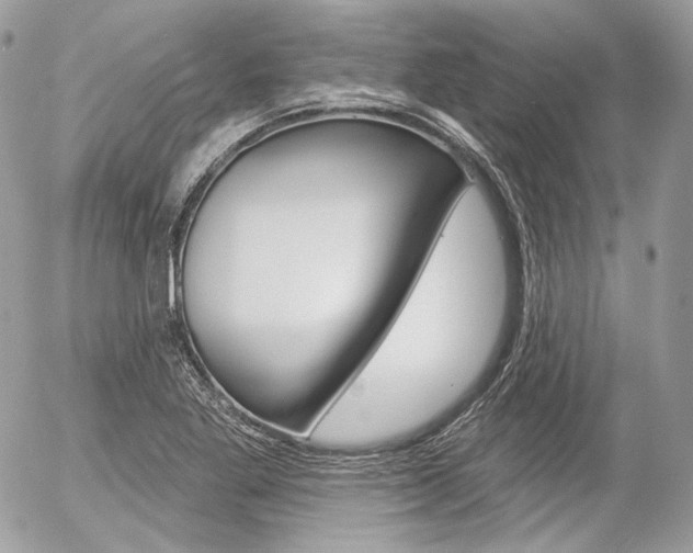 X0000056371269200508260911
