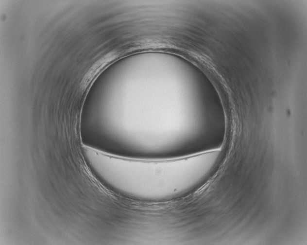 X0000056371273200508260911