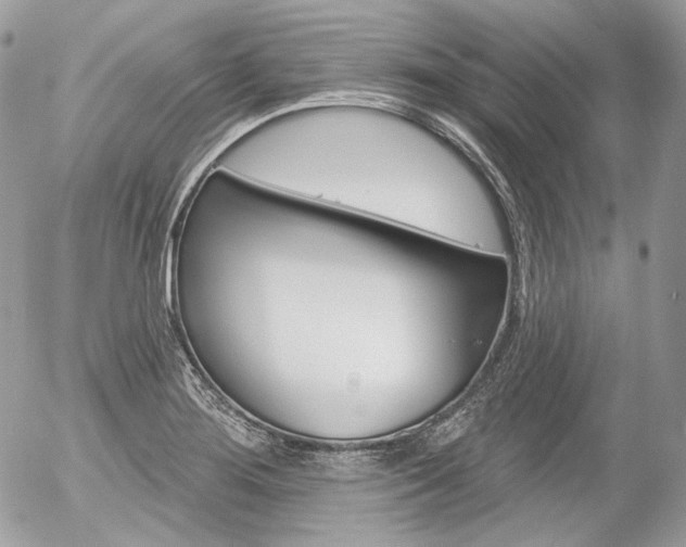 X0000056371276200508260911