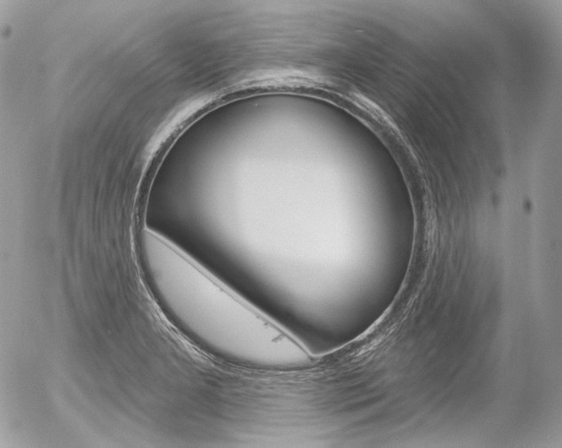 X0000056371277200508260911