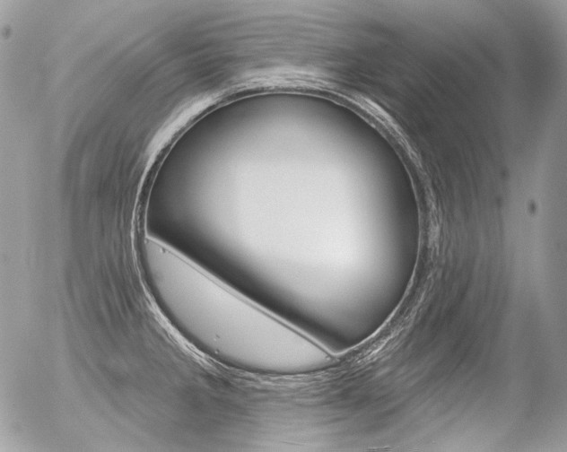 X0000056371285200508260911
