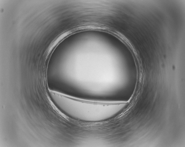 X0000056371293200508260911