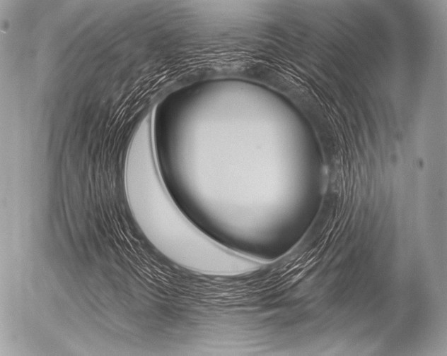 X0000056371298200508260910