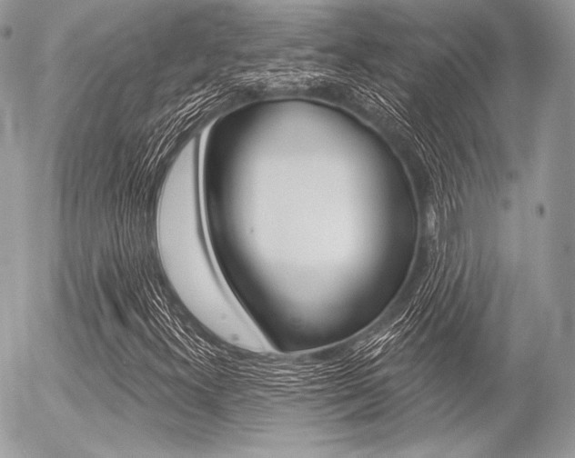 X0000056371300200508260910