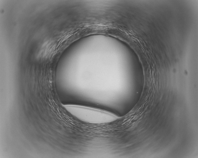 X0000056371301200508260910